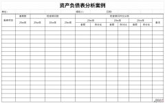 资产负债表分析案例Word文档下载