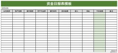 资金日报表模板Word文档下载