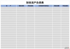 财务资产负债表Word文档下载