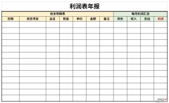 利润表年报模板Word文档下载