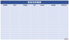 财务年终报表Word文档下载