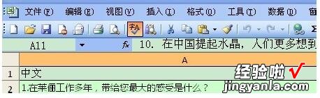 小编教你Excel中拼写检查功能使用操作内容