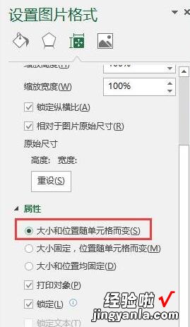 小编教你Excel设置图片和表格一起隐藏的操作方法