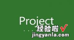 教你Project将数据导出到Excel的详细教程