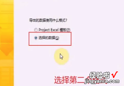 教你Project将数据导出到Excel的详细教程