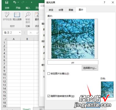 分享excel2016插入图片批注的相关操作教程