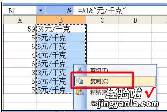 小编分享excel2007批量添加前缀或后缀的详细教程