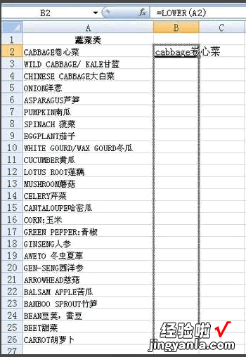 如何将excel中的小写字母都变成大写 excel中如何把字母变成大写