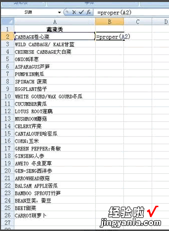 如何将excel中的小写字母都变成大写 excel中如何把字母变成大写