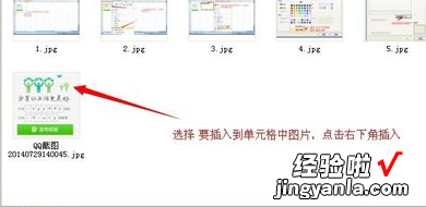 教你excel如何做设置图片大小 如何在excel图片双击放大