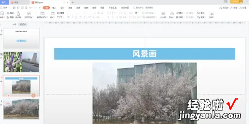 wps如何一键取消ppt所有页面动画 怎么在WPS中删除幻灯片的动画效果