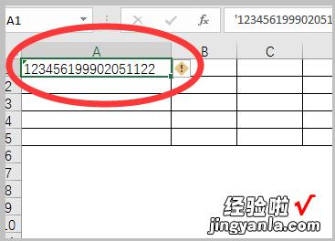 WPS中如何根据身份证号码 怎么在WPS表格中用身份证号提取年龄