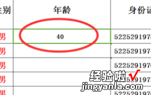 wps表格中如何根据出生年月得出年龄 如何在wps把身份证号码换算成年龄