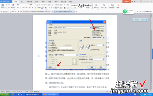 wps双面打印页码怎么设置 请问在WPS里面怎么打印出页码