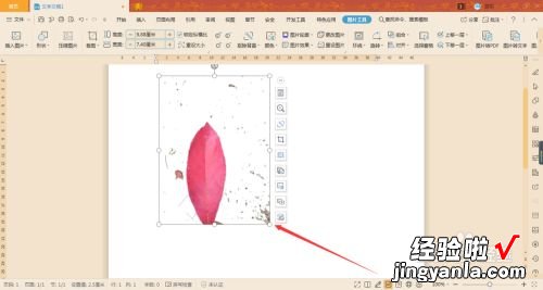 怎么用wps抠图 wps如何智能抠图