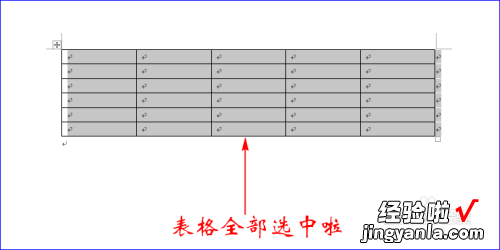 word中表格怎样设置列宽 word里面表格的列宽怎么设置