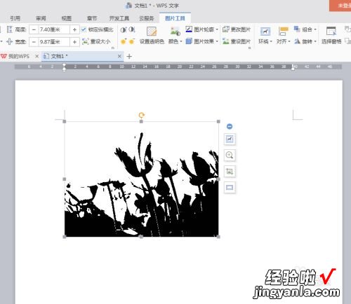 WPS中将有色图片变黑白的方法步骤 wps2012如何设置黑白印