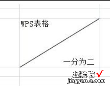 在表格里面斜线怎么打上字 WPS表格里