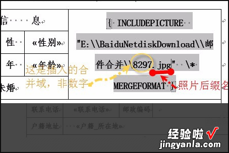 WPS邮件合并照片的步骤 wps如何在尊敬后面加入拟邀人名字