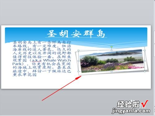 wps的ppt图片样式哪里设置 WPS里PPT模板更改后保存不了怎么回事