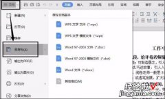 如何用wps转换格式 wps怎么样转换成word格式