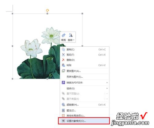 wps如何设置图片无边框 wps中如何设计图片边框