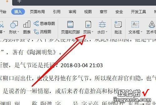 wps页码样式怎么自定义 怎样在WPS文档的图片上设置页码