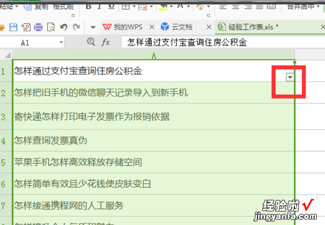 wps中文怎么筛选关键字 wps的筛选为什么是文本筛选