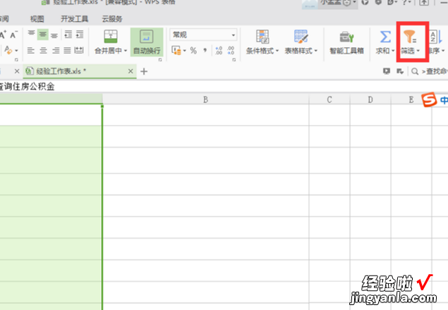 wps中文怎么筛选关键字 wps的筛选为什么是文本筛选