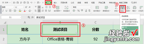 wps怎么分类筛选 如何用wps表格筛选并分类