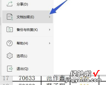 WPS表格输入不了字怎么办 wps表格被保护输入不出数字怎么办