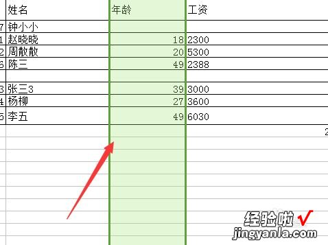 WPS表格怎么调整行高及列宽 wps怎么调列宽