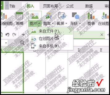 wps表格嵌入图片怎么改为浮动 在WPS的Excel中