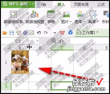 wps表格嵌入图片怎么改为浮动 在WPS的Excel中