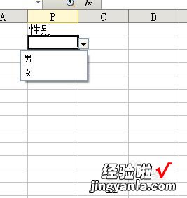 wps表格怎样快速录入数据 wps表格如何显示输入指导信息