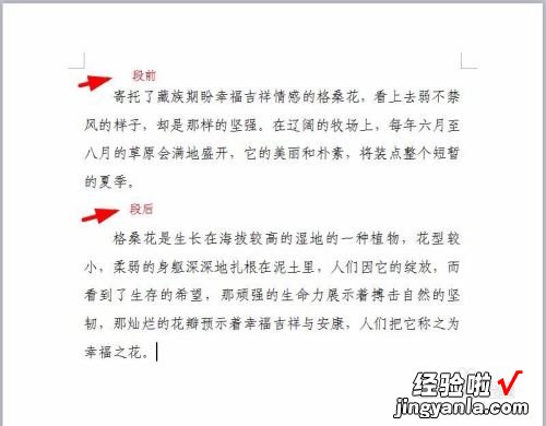 wps自动填充选项不见了 怎样在wps表格里设置下拉选项