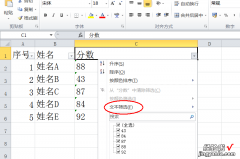 wps表格显示的时候没有多显示一列 WPS没有数字筛选项