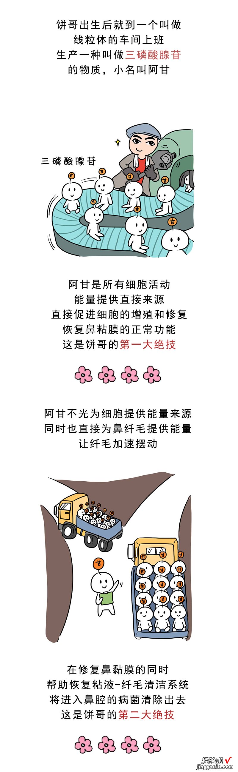 厉害了word哥，鼻炎原来可以这么治！