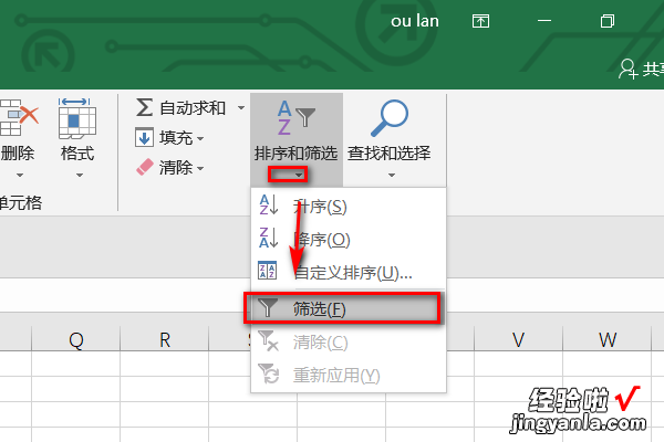 怎样把负数的全部筛选出来 怎样在WPS里统计数字