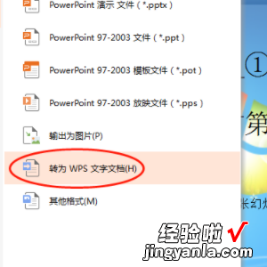 wps图片怎么转换成word文档 如何将WPS演示转换成Word文档