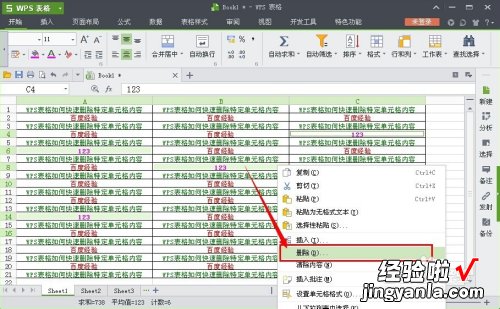 wps的筛选的快捷键是什么 wps表格如何将按条件筛选出来的内容删除