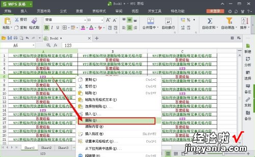 wps的筛选的快捷键是什么 wps表格如何将按条件筛选出来的内容删除