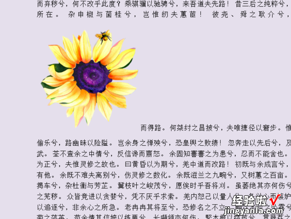 如何设置word文档中的文字环绕方式 Word如何实现自选图形文字环绕