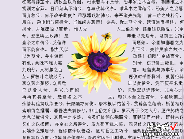 如何设置word文档中的文字环绕方式 Word如何实现自选图形文字环绕