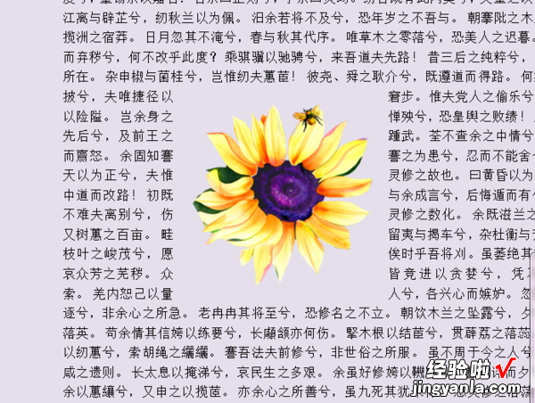 如何设置word文档中的文字环绕方式 Word如何实现自选图形文字环绕