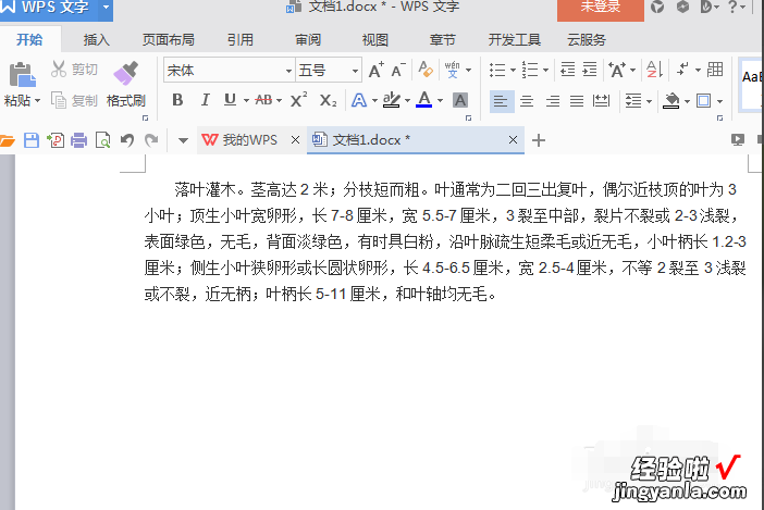 word文字下面一条横线怎么取消 如何将WORD中的线框去掉