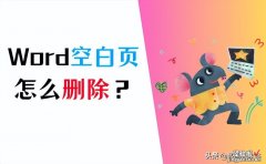 Word怎么删除空白页？分享5个基础方法！