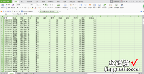 如何用WPS表格制作学生成绩查询系统 wps初级证书怎么查