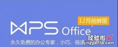 wps英文怎么读 WPS是什么意思