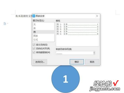wps如何生成表目录和图目录 word生成目录中